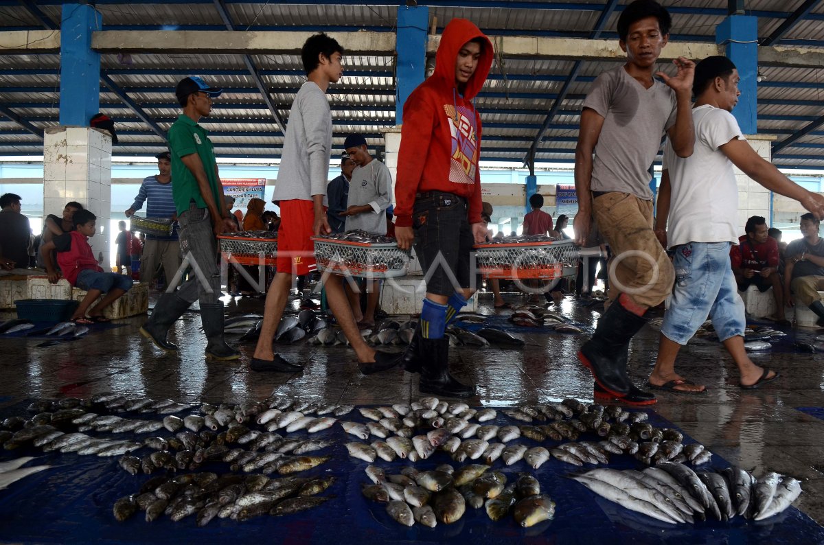 Nelayan Libur Harga Ikan Naik Antara Foto