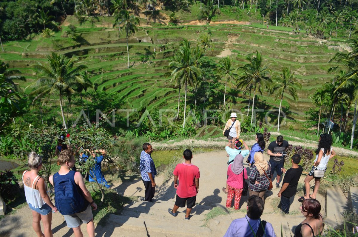 WISATA PEDESAAN BALI | ANTARA Foto