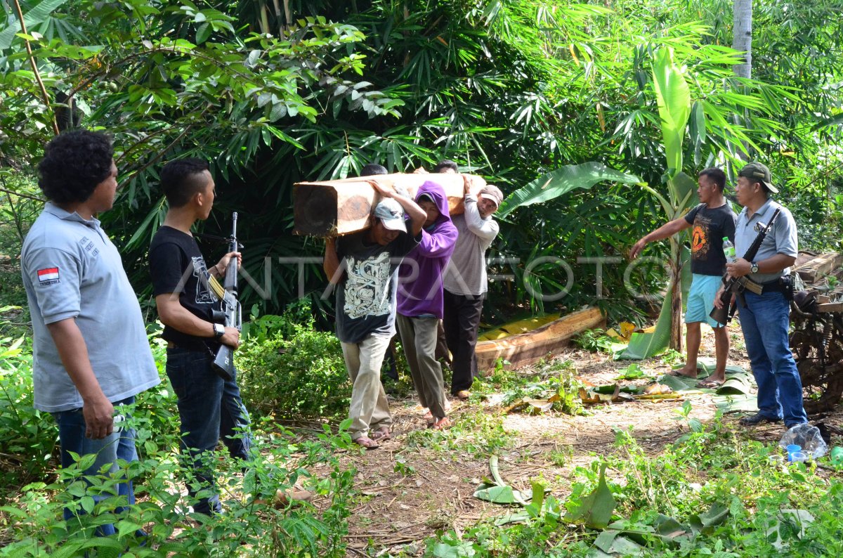 Penggerebekan Pembalak Liar Antara Foto