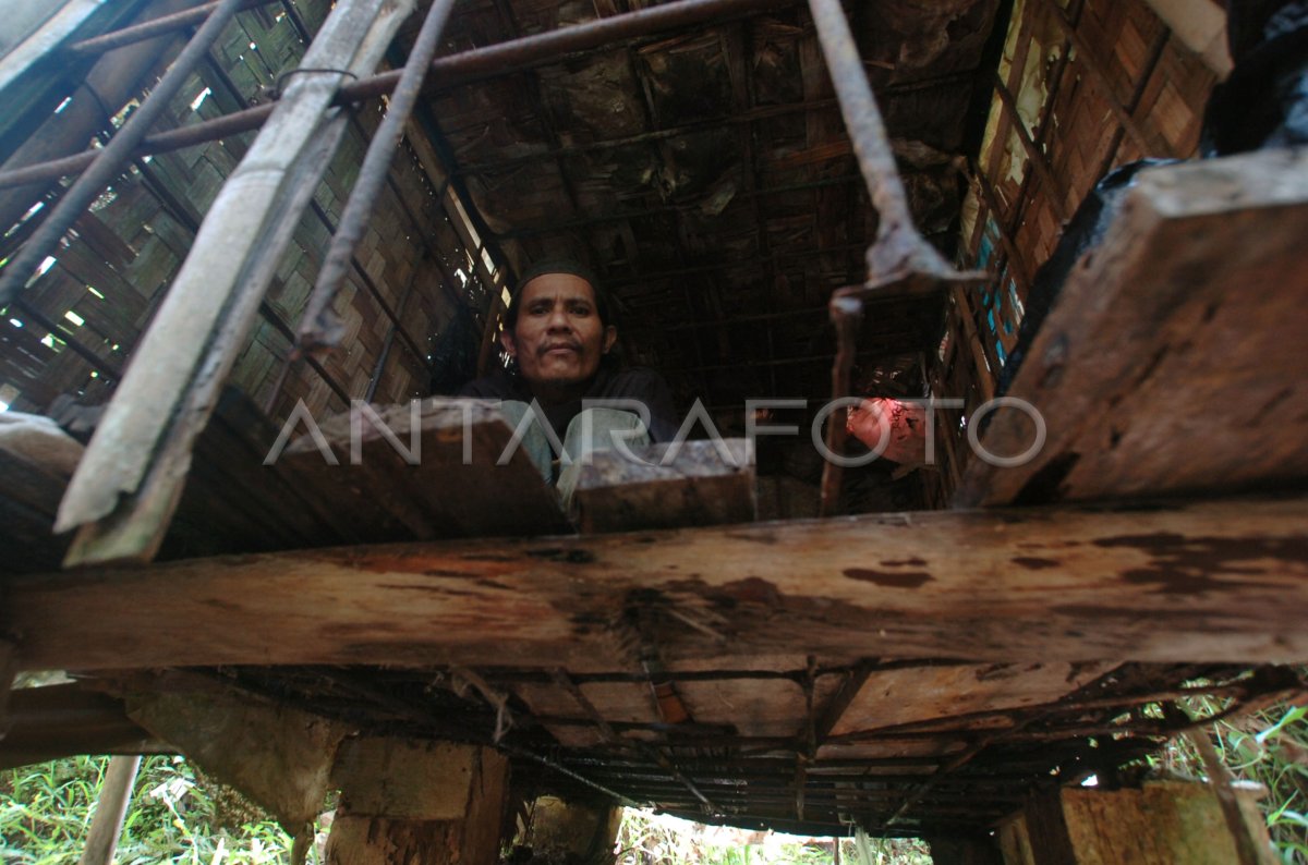 PENDERITA GANGGUAN JIWA DIKERANGKENG | ANTARA Foto