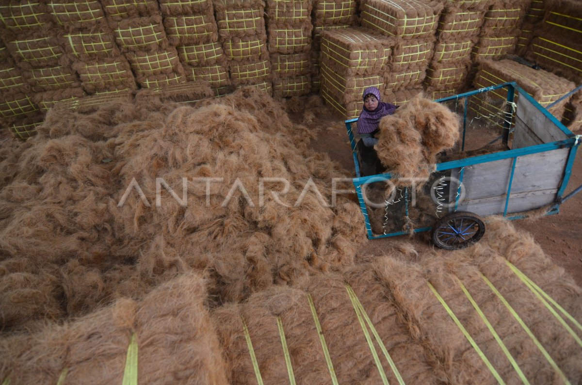 EKSPOR BAHAN BAKU SOFA | ANTARA Foto