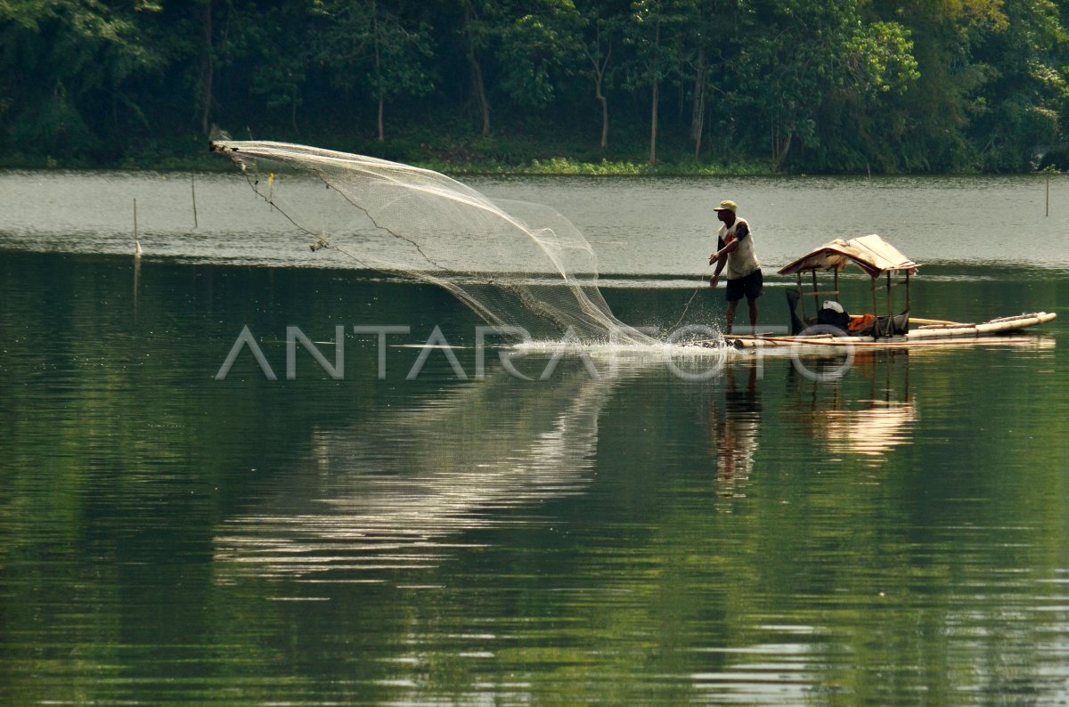 Tingkatkan Kesejahteraan Desa dengan Program Budidaya Ikan yang Menjanjikan