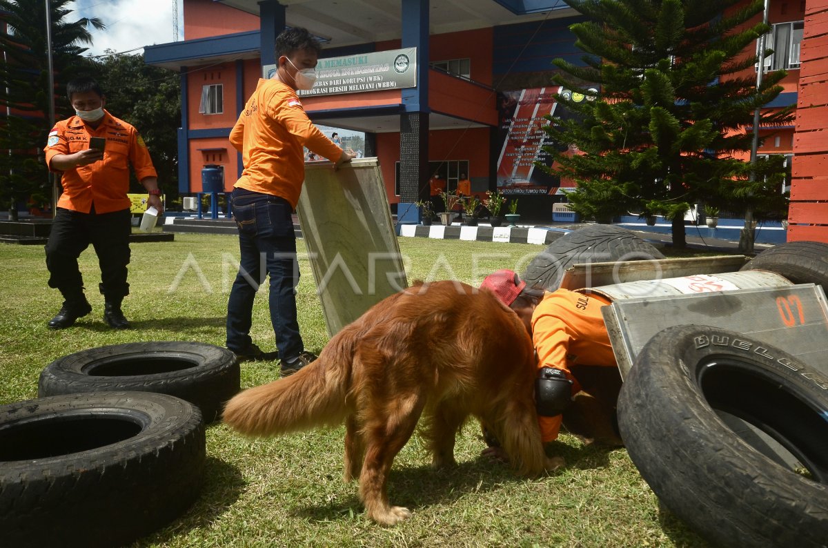 PELATIHAN ANJING SAR MANADO