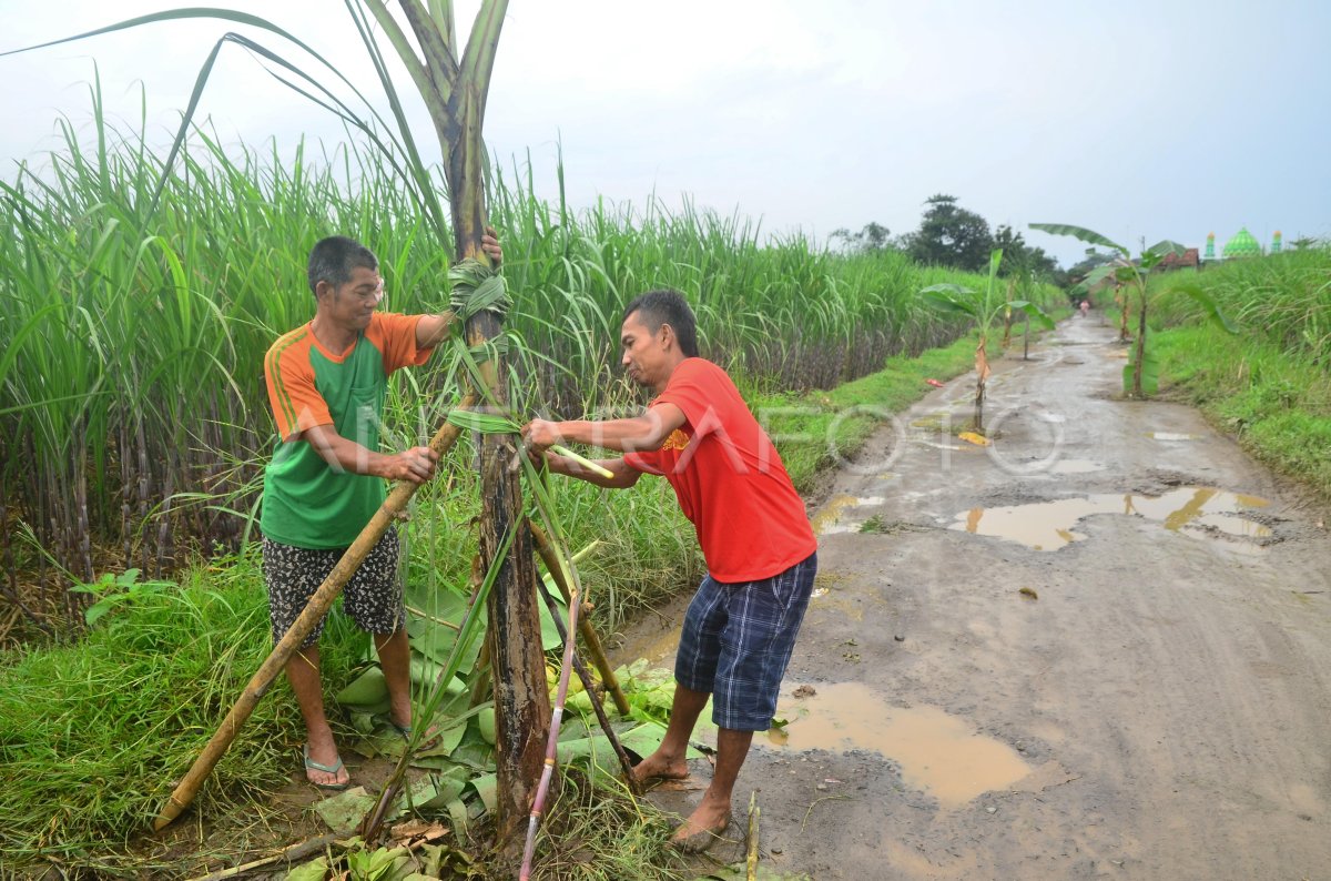 Jalan Desa Rusak Antara Foto