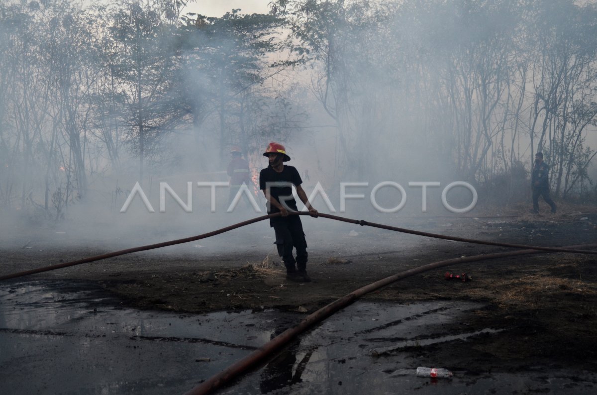Kebakaran lahan di Bekasi