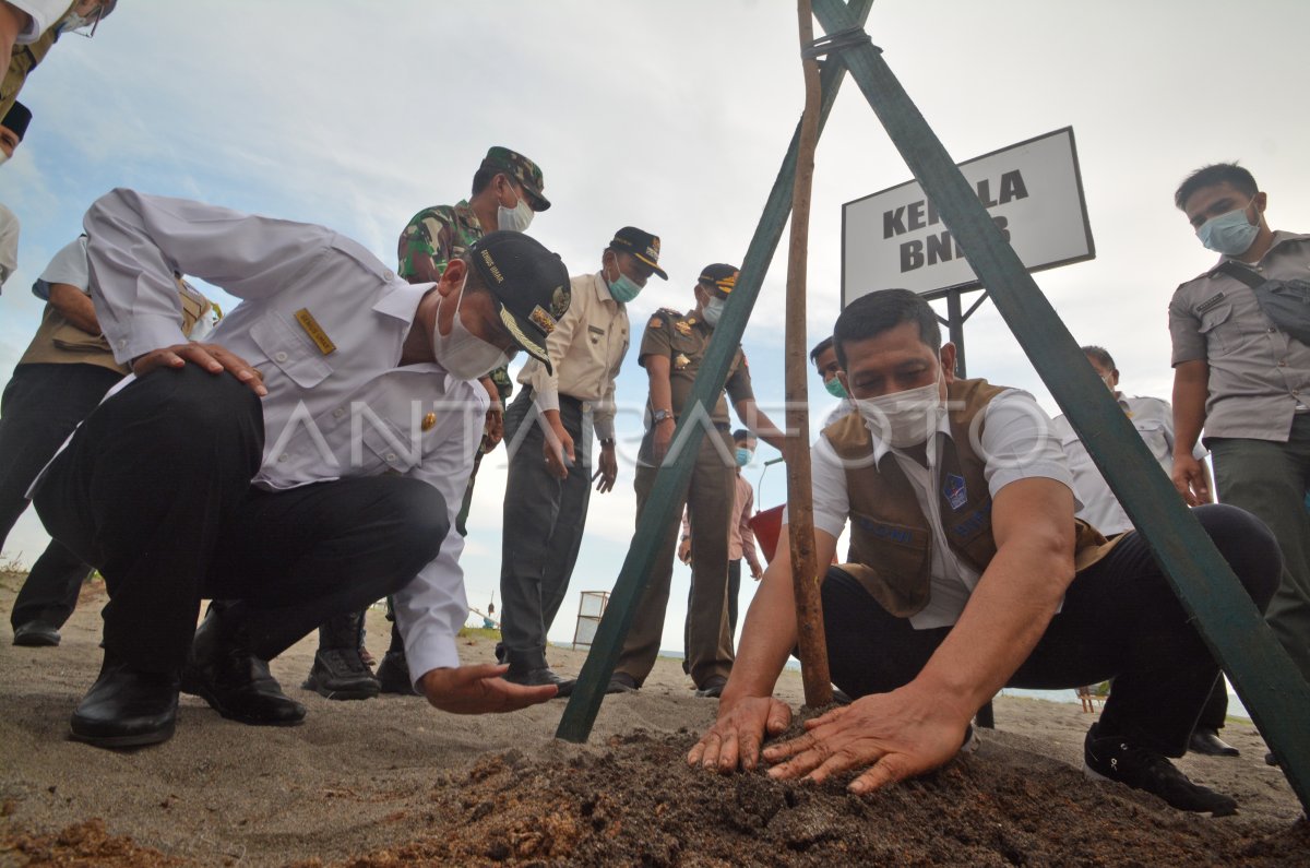 MITIGASI BENCANA BERBASIS ALAM | ANTARA Foto