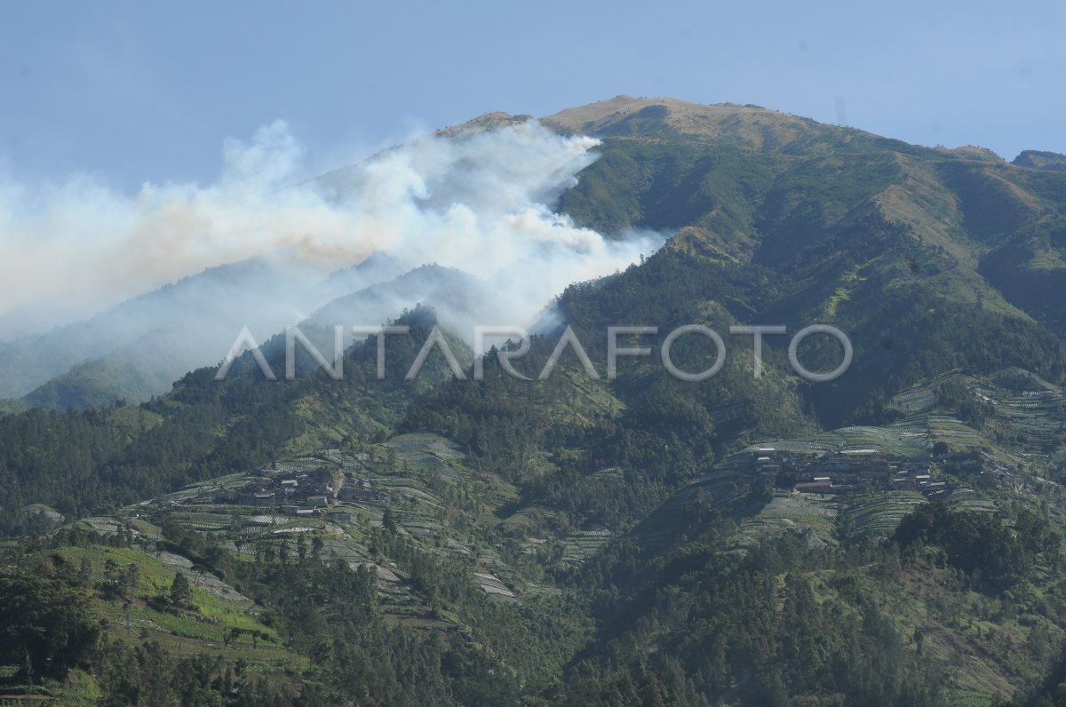 KEBAKARAN HUTAN GUNUNG MERBABU | ANTARA Foto