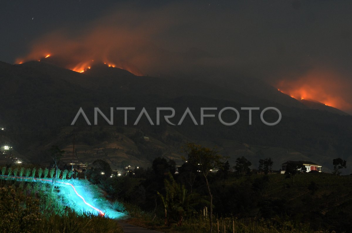 DAMPAK KEBAKARAN HUTAN GUNUNG MERBABU | ANTARA Foto