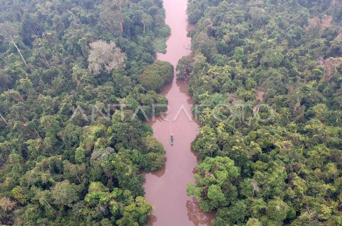 TAMAN NASIONAL BERBAK DAN SEMBILANG | ANTARA Foto