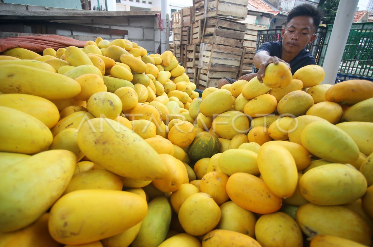 Timun Suri Buah Khas Bulan Ramadhan Antara Foto