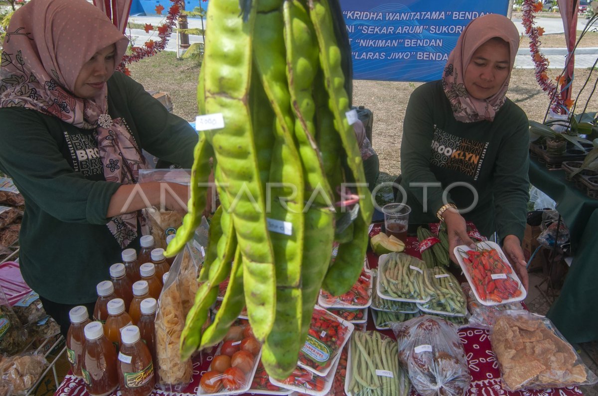 Pameran Pembangunan Pertanian Di Klaten Antara Foto