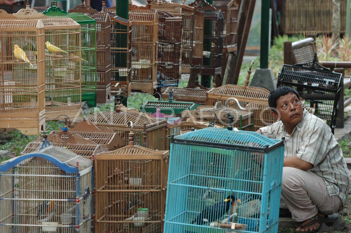 MULAI BEROPERASI | ANTARA Foto