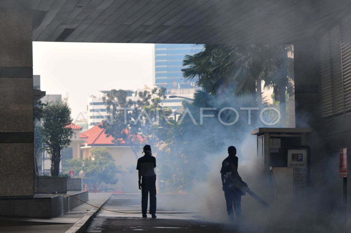 CEGAH DEMAM BERDARAH | ANTARA Foto