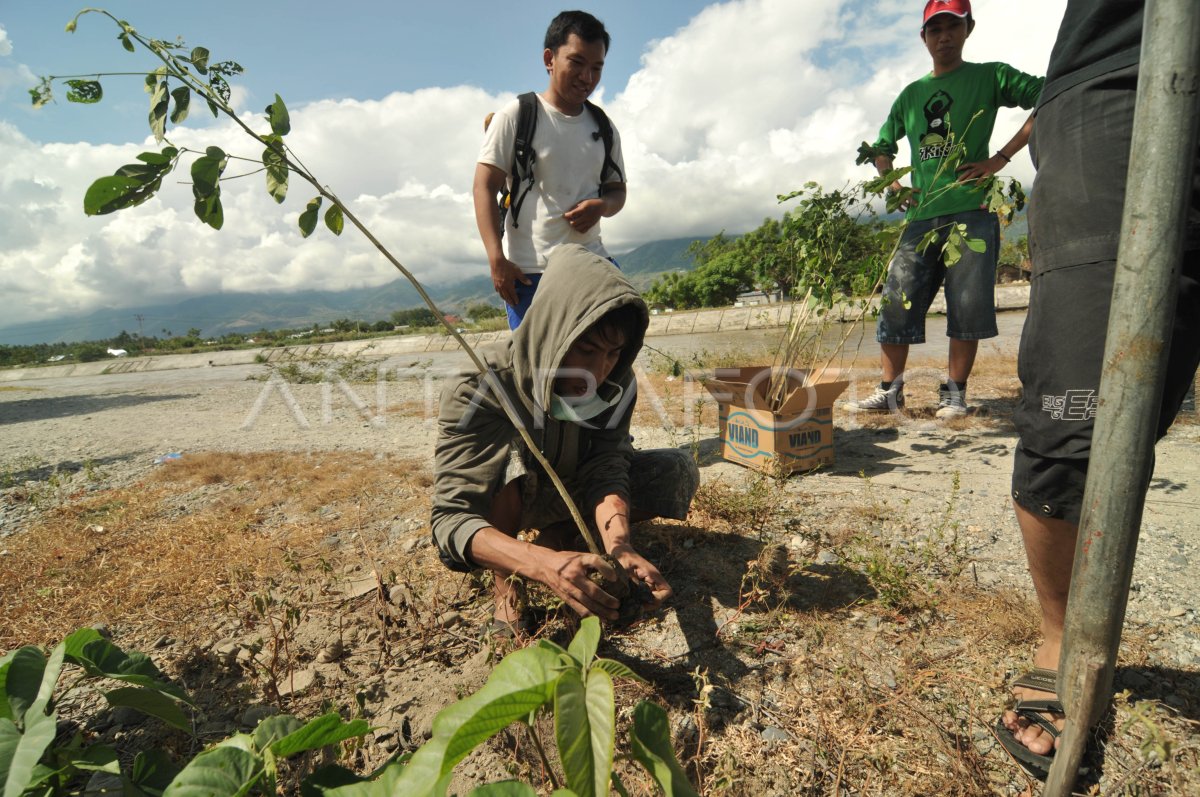 TANAM POHON | ANTARA Foto