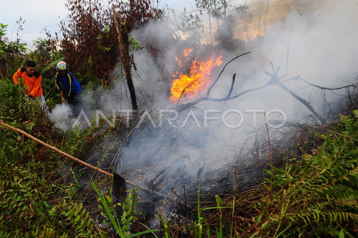 Kebakaran Lahan Gambut Antara Foto