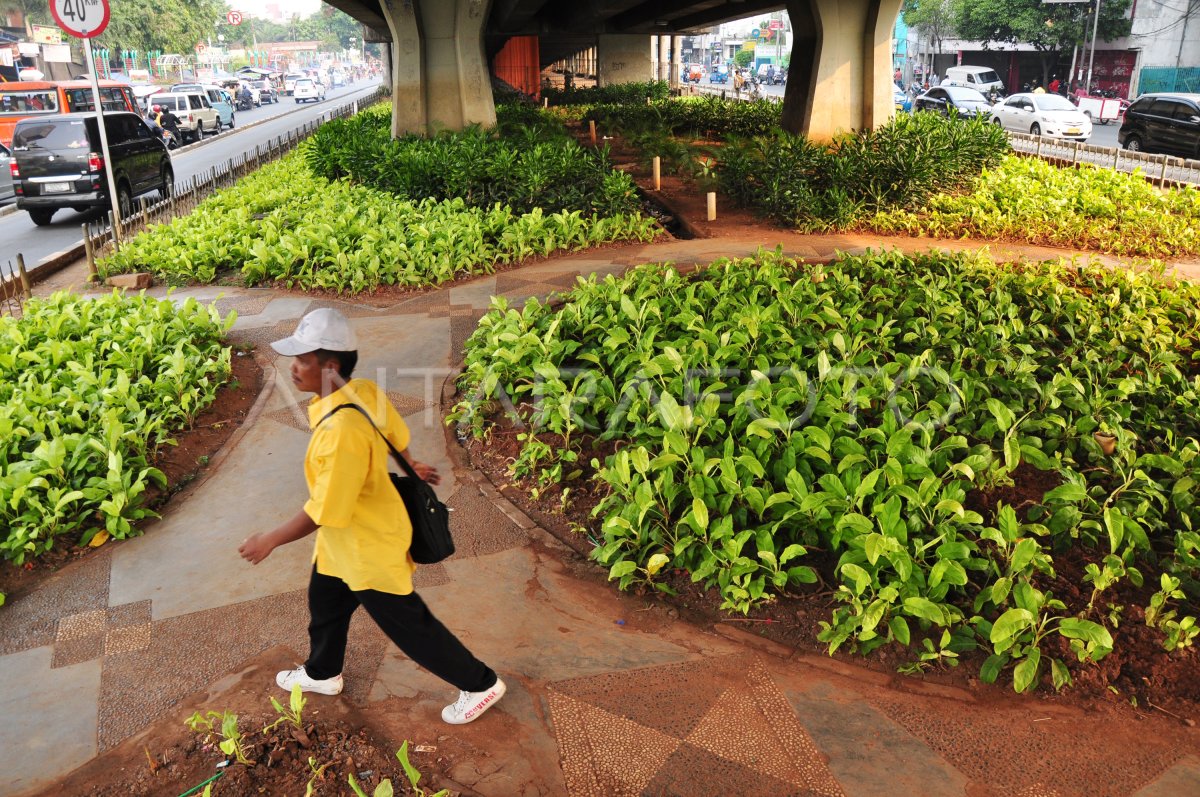 RUANG TERBUKA HIJAU JAKARTA | ANTARA Foto