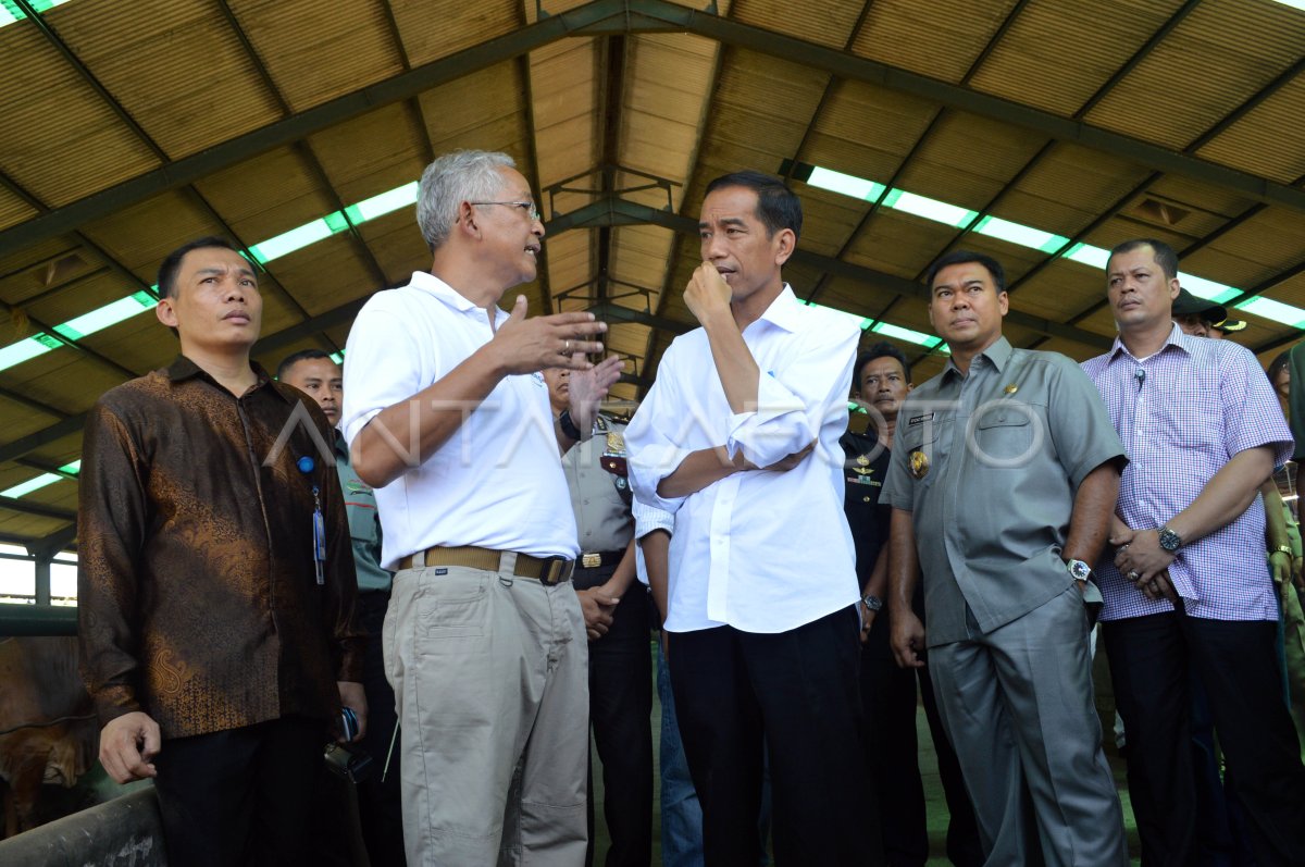 KUNJUNGAN JOKOWI KE LAMPUNG | ANTARA Foto