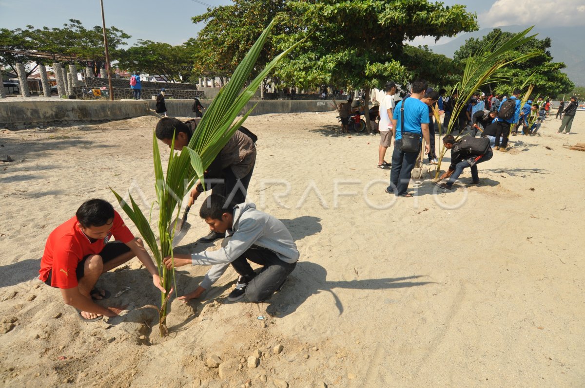 TANAM POHON DI PANTAI | ANTARA Foto