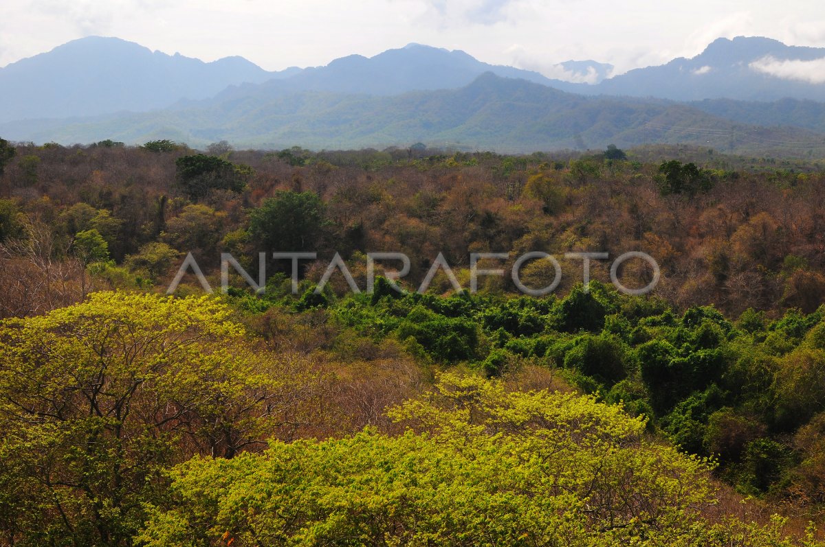 15 tempat wisata di bali barat national park Barat stranden zee