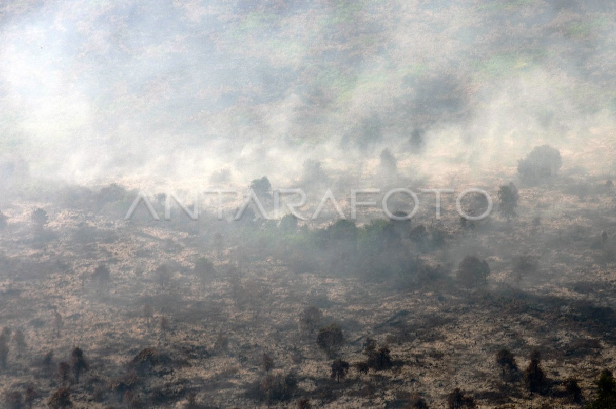 ANCAMAN KEBAKARAN LAHAN DAN HUTAN | ANTARA Foto