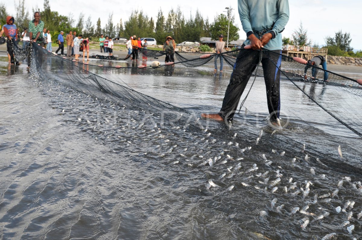 PUKAT PANTAI BANJIR TANGKAPAN IKAN | ANTARA Foto