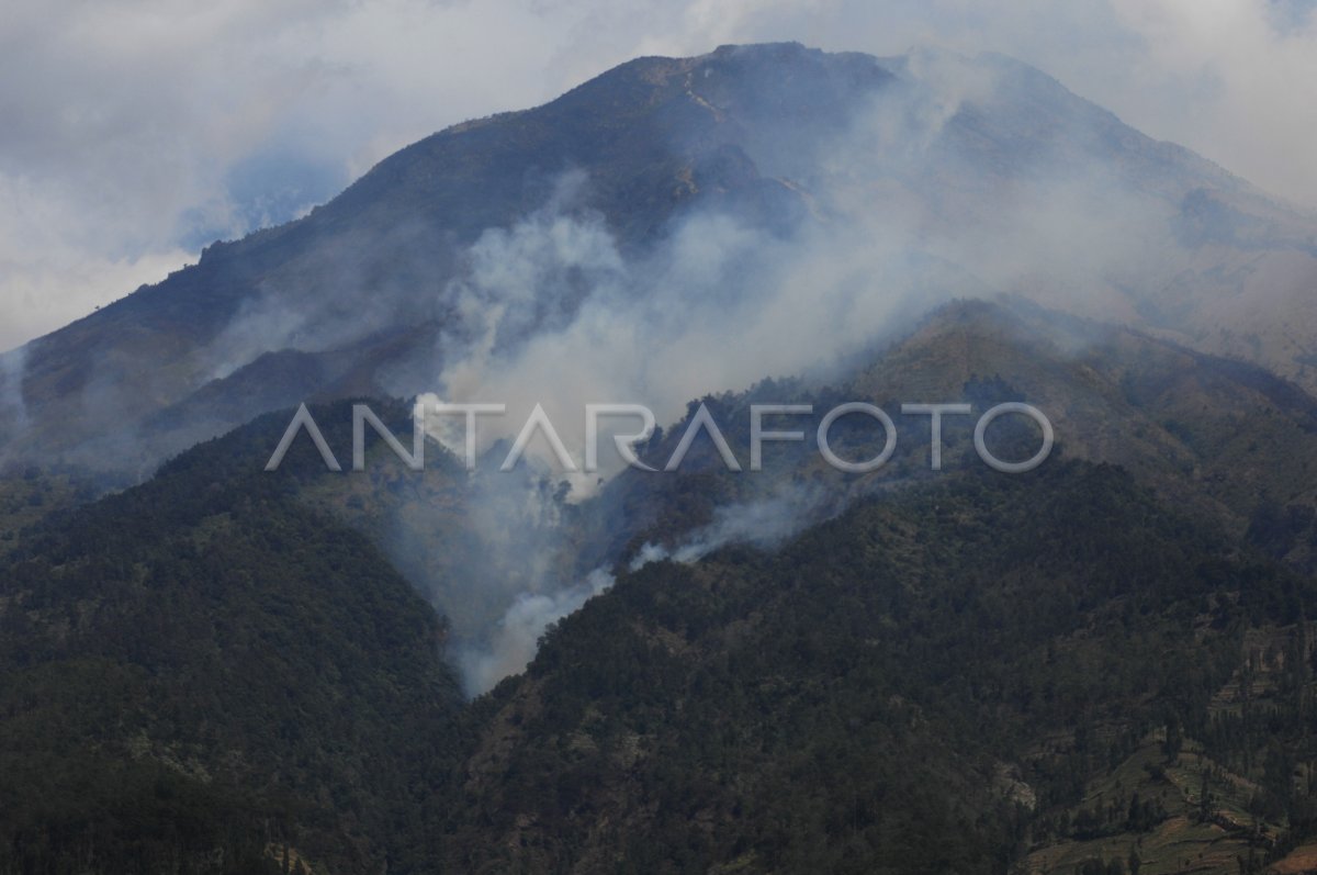 Kebakaran Hutan Gunung Sumbing Membesar Antara Foto