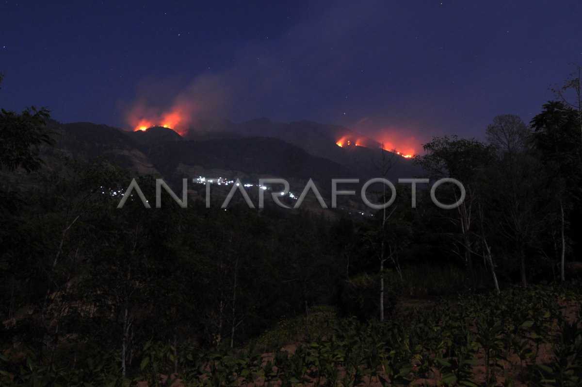 DAMPAK KEBAKARAN HUTAN GUNUNG MERBABU | ANTARA Foto