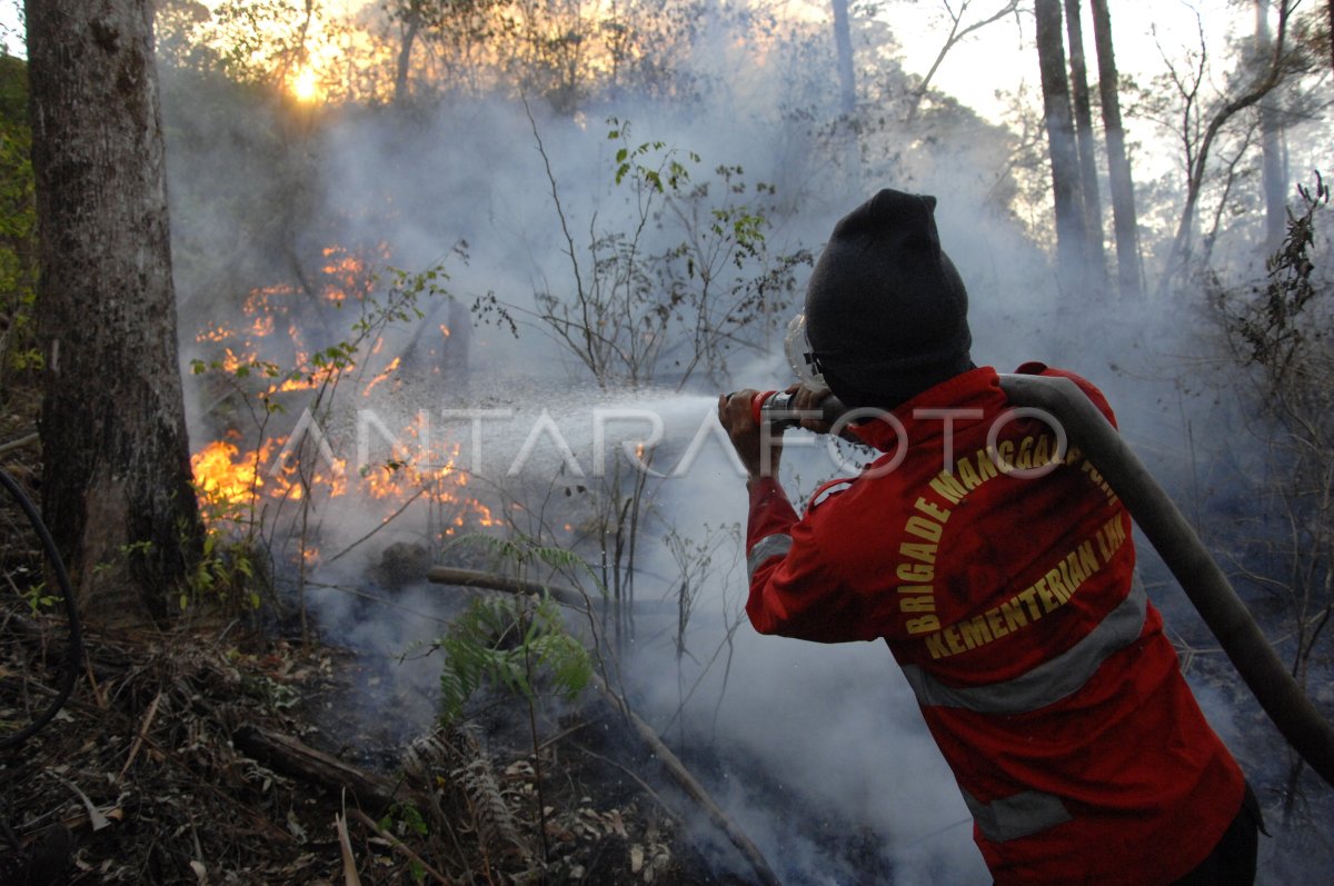 PEMADAMAN KEBAKARAN HUTAN PINUS GOWA | ANTARA Foto