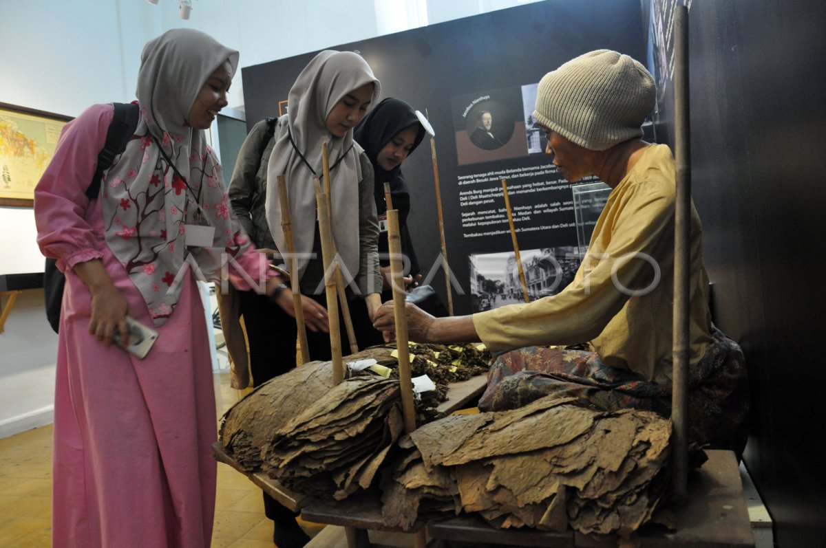 BUMD Perkebunan Sumut bertemu petani kopi