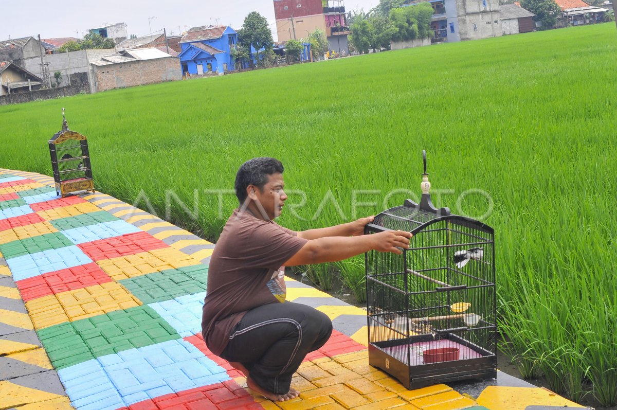 PROGRAM PENATAAN KAWASAN KUMUH | ANTARA Foto