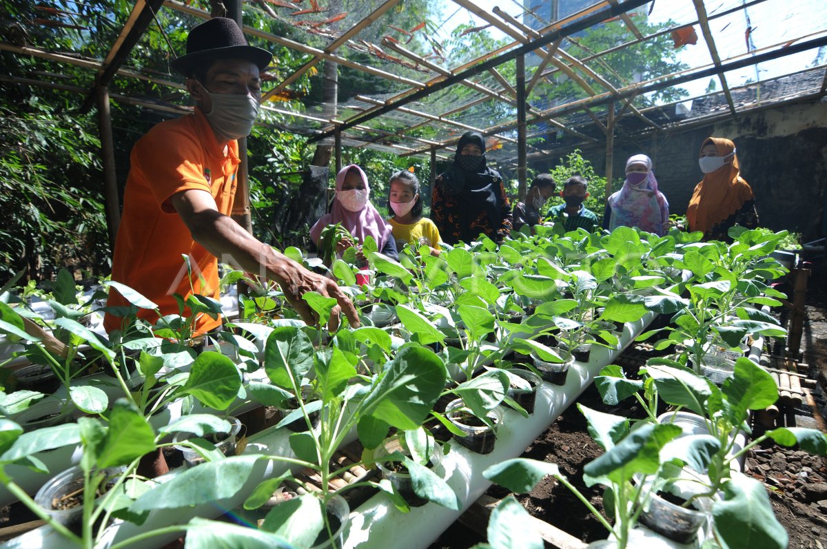 EDUKASI PERTANIAN DAN PERIKANAN | ANTARA Foto