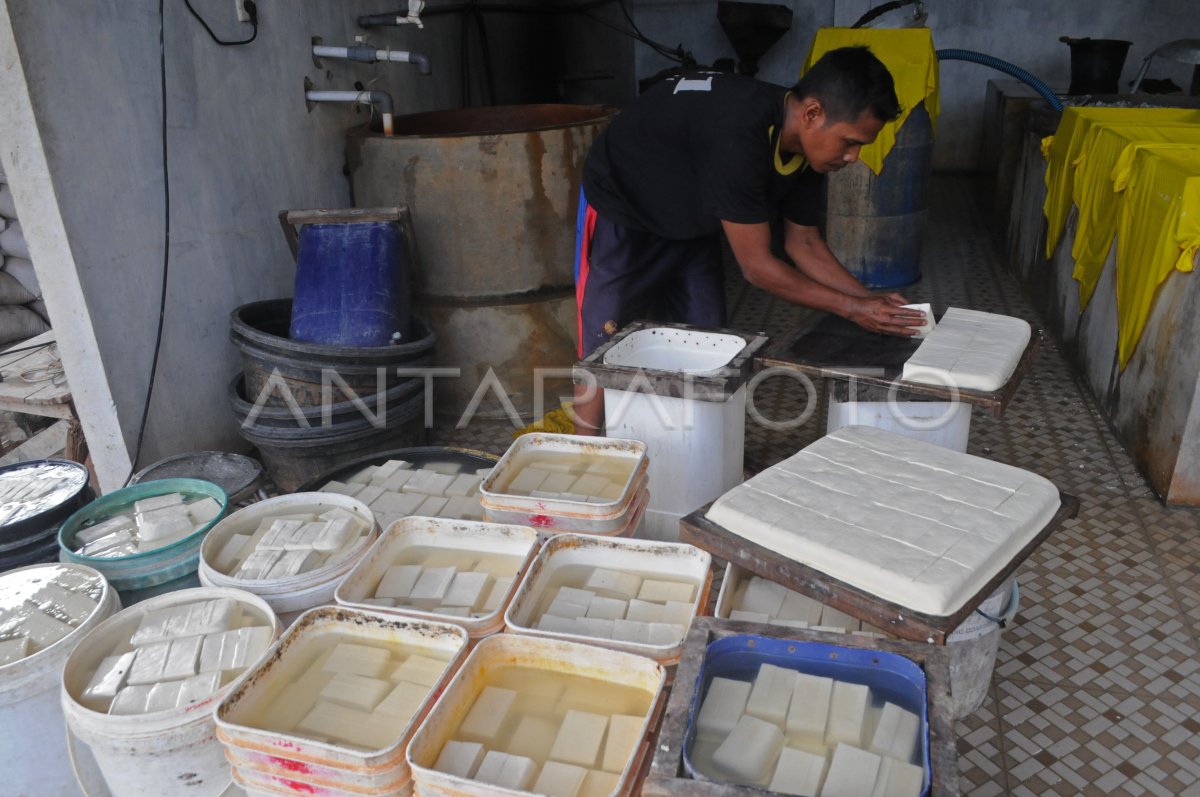 KEDELAI IMPOR MASIH TINGGI