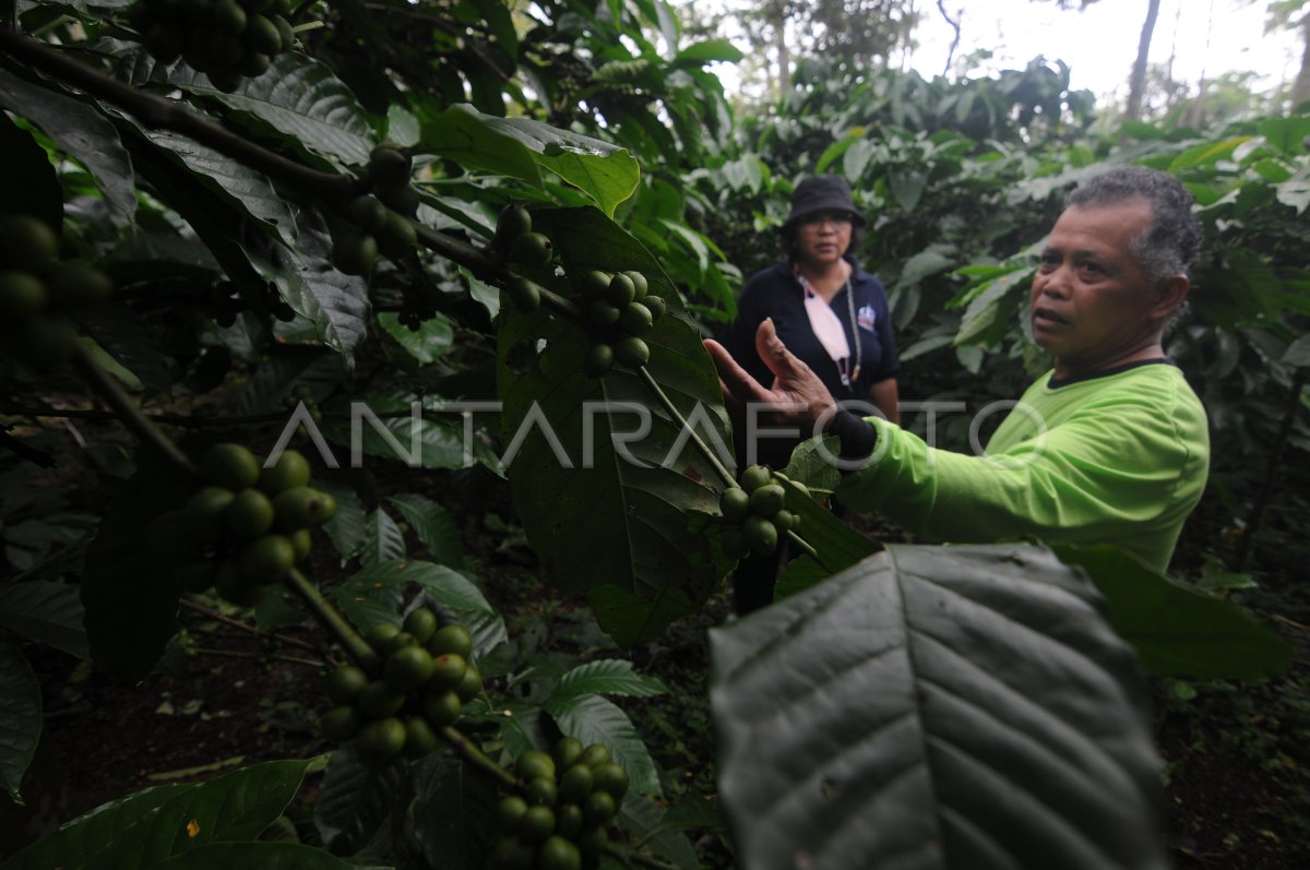 PENGEMBANGAN DESA WISATA EDUKASI BERBASIS MASYARAKAT | ANTARA Foto