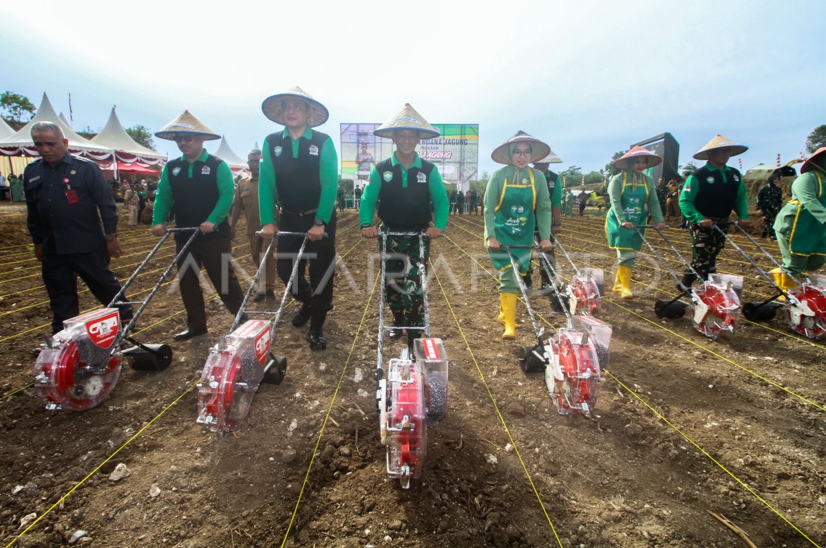 Penanaman Jagung Nasional Pangdam Iskandar Muda | ANTARA Foto