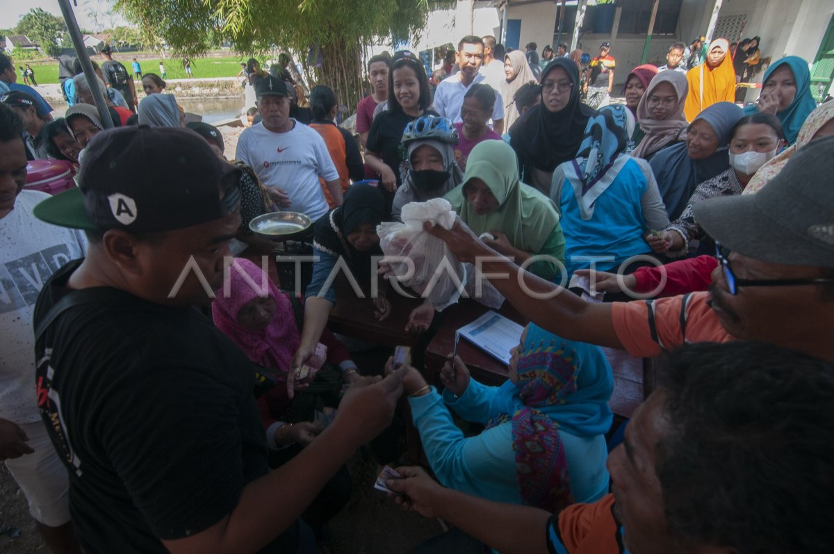 Panen Raya Ikan Untuk Ketahanan Pangan Antara Foto 8842