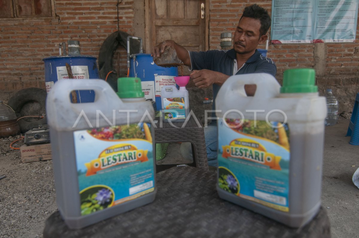 Pupuk organik dari eceng gondok