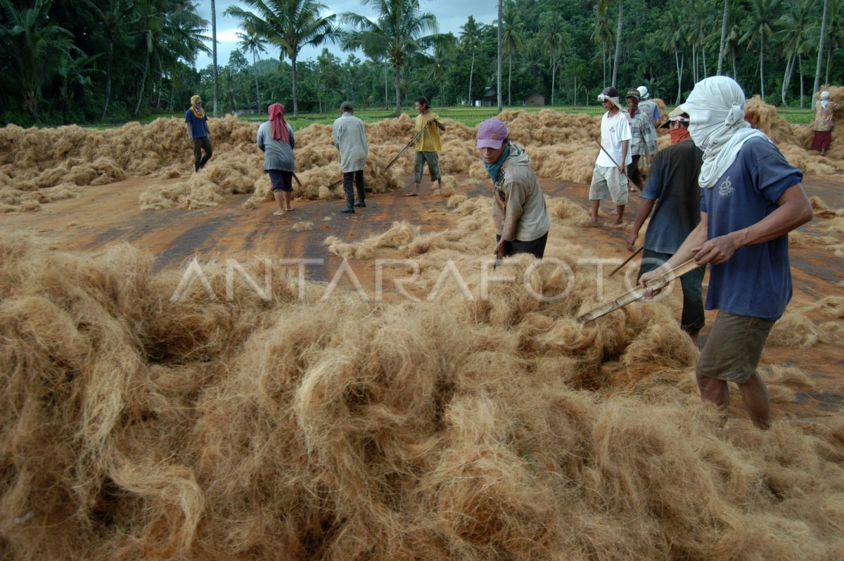 PRODUKSI SABUT KELAPA | ANTARA Foto