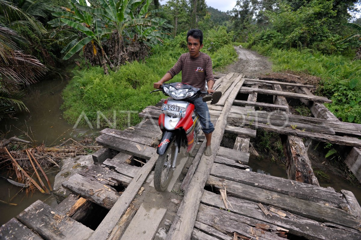 JALUR DARAT MENTAWAI | ANTARA Foto