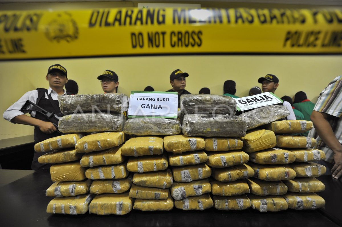 BARANG BUKTI GANJA-SABU | ANTARA Foto