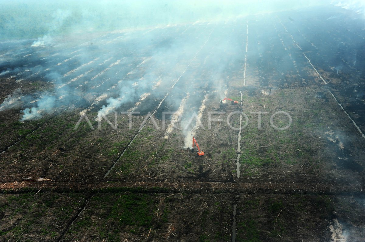 PEMBAKARAN LAHAN | ANTARA Foto