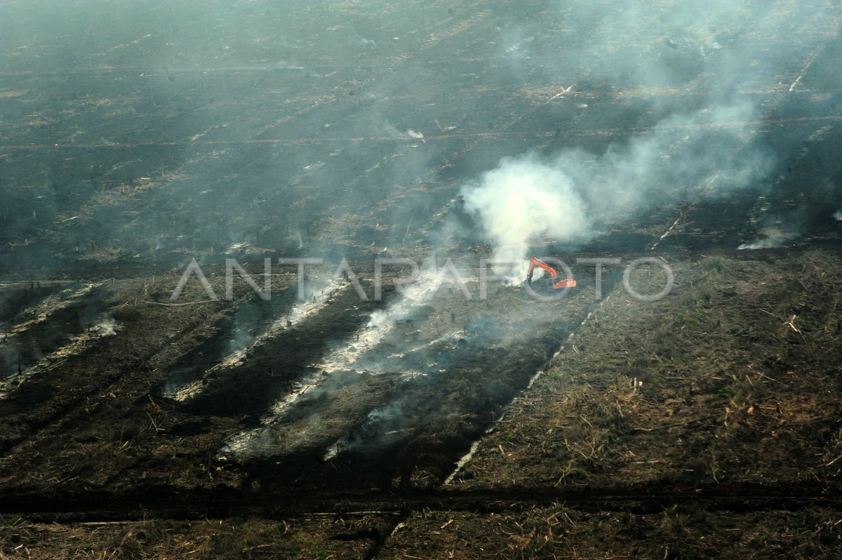 PEMBAKARAN LAHAN | ANTARA Foto