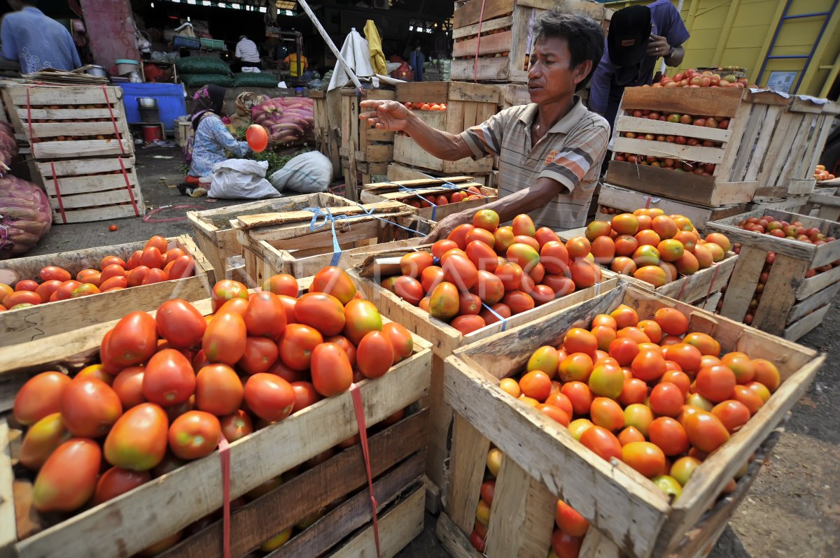 Harga Sayur Dan Buah Naik Jelang Bulan Puasa Antara Foto