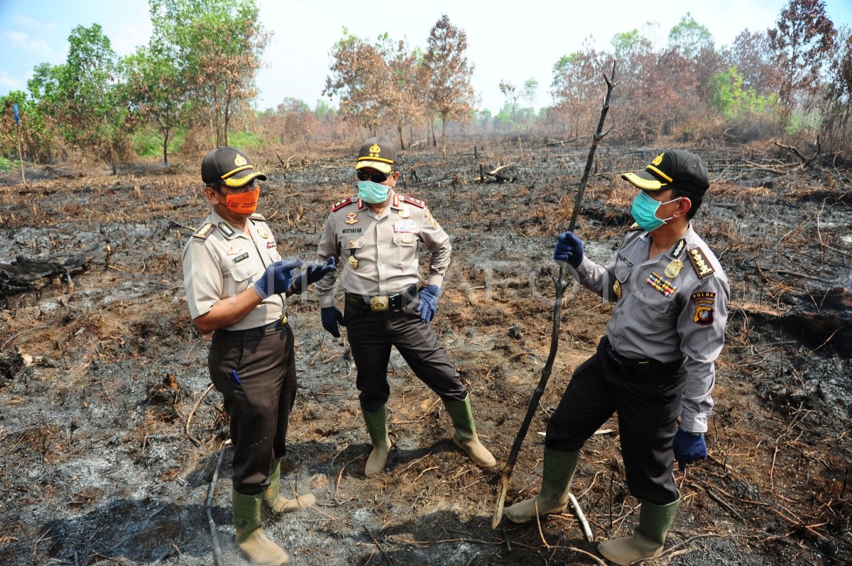 Penanganan Kebakaran Hutan Dan Lahan Di Kalbar Antara Foto