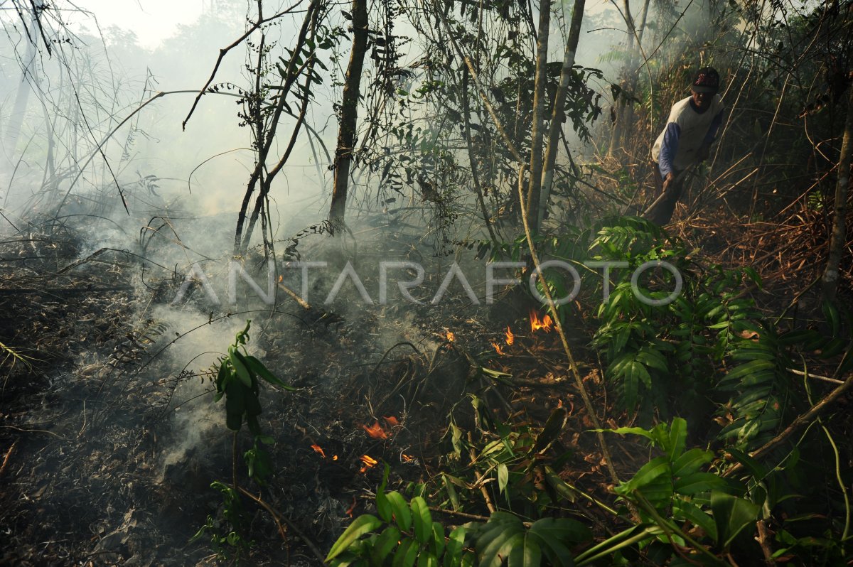 SEBARAN TITIK API DI KALBAR | ANTARA Foto