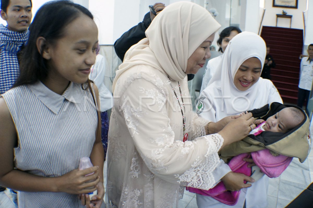 PEMULANGAN BAYI KEMBAR SIAM | ANTARA Foto