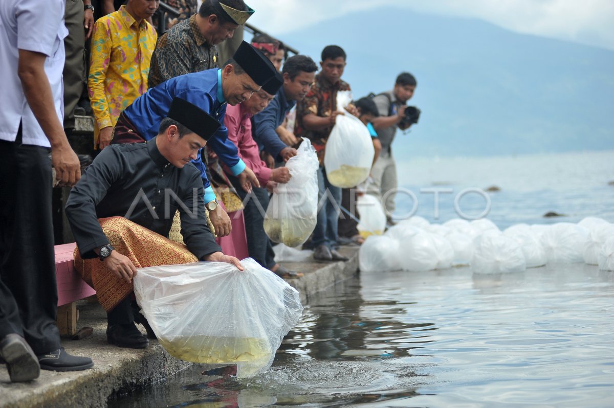 KONSERVASI IKAN ENDEMIK DANAU KERINCI