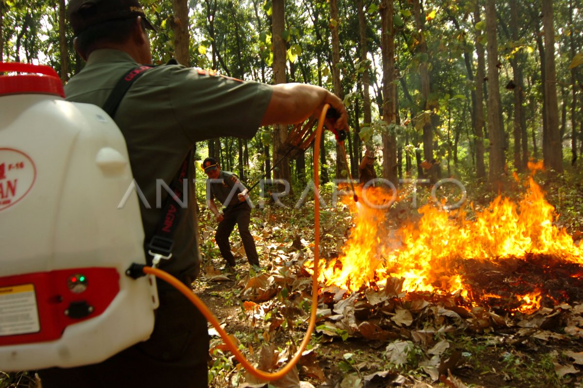 SIMULASI PEMADAMAN KEBAKARAN HUTAN | ANTARA Foto