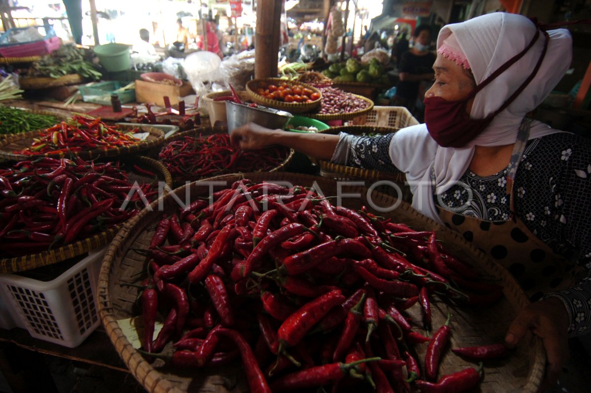 Harga Cabai Naik Drastis Antara Foto 1365