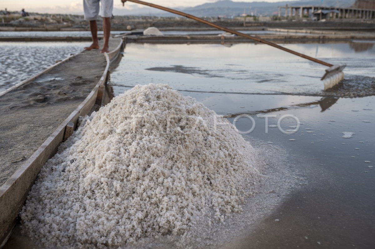 penjemuran garam di bawah sinar matahari