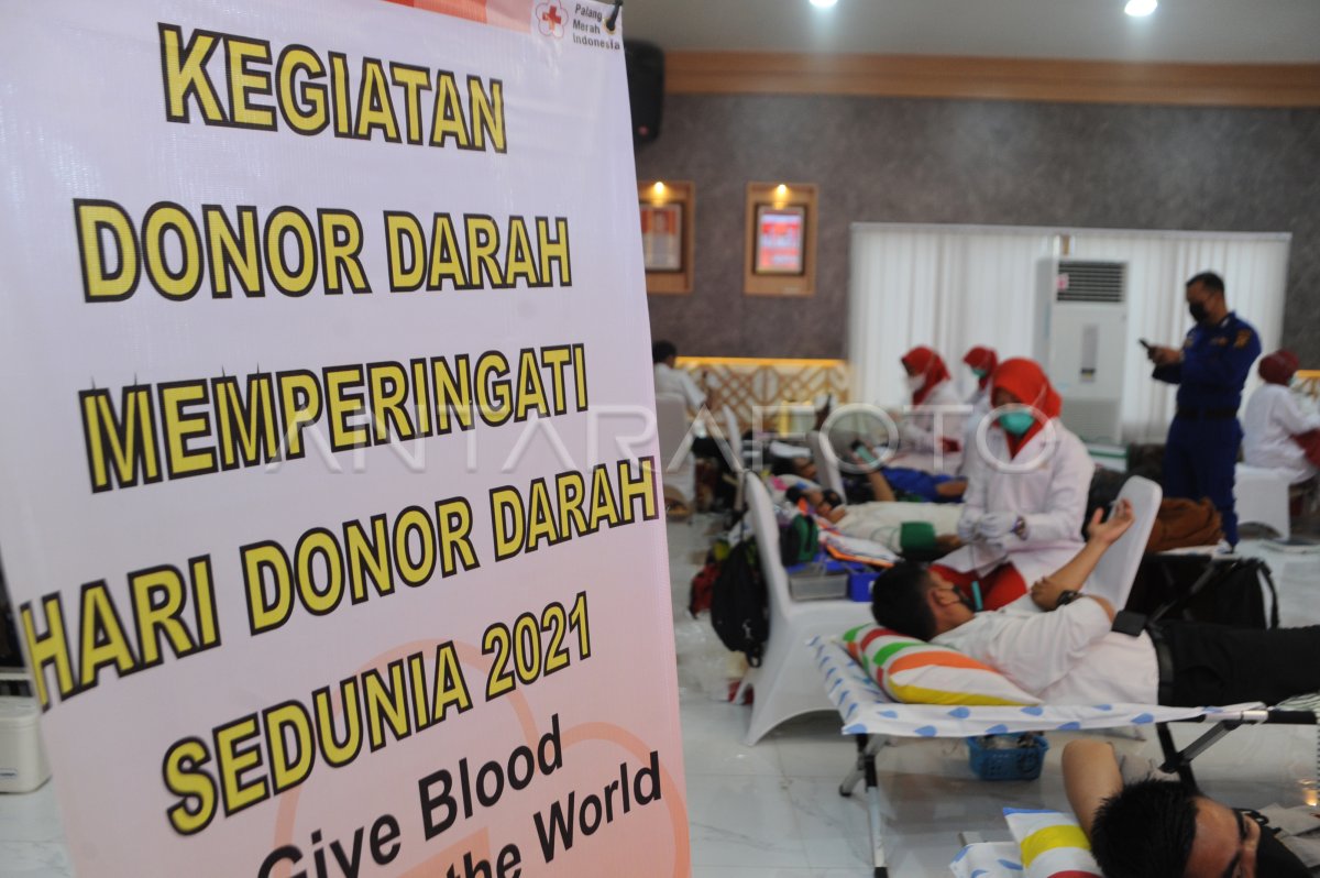 Peringatan Hari Donor Darah Sedunia Di Palembang Antara Foto